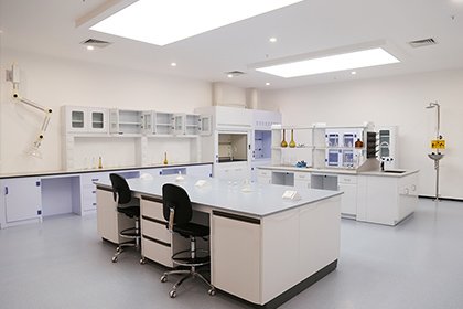 Laboratory furniture